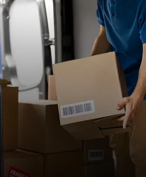 
                                                        Dịch vụ xử lý đơn hàng nhanh chóng và báo cáo phân tích chi tiết.
                                                    